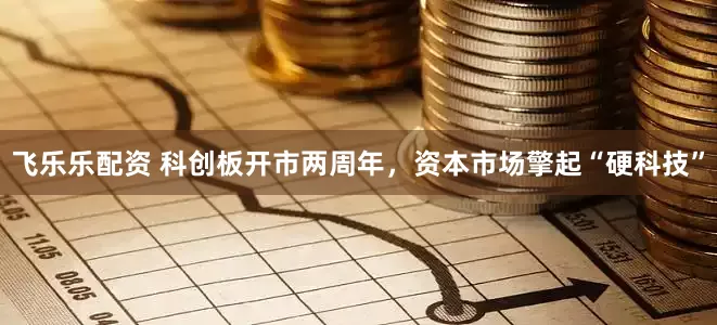 飞乐乐配资 科创板开市两周年，资本市场擎起“硬科技”