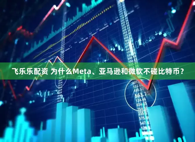 飞乐乐配资 为什么Meta、亚马逊和微软不碰比特币？