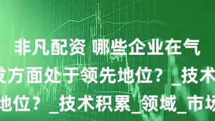 非凡配资 哪些企业在气控阀门研发方面处于领先地位？_技术积累_领域_市场
